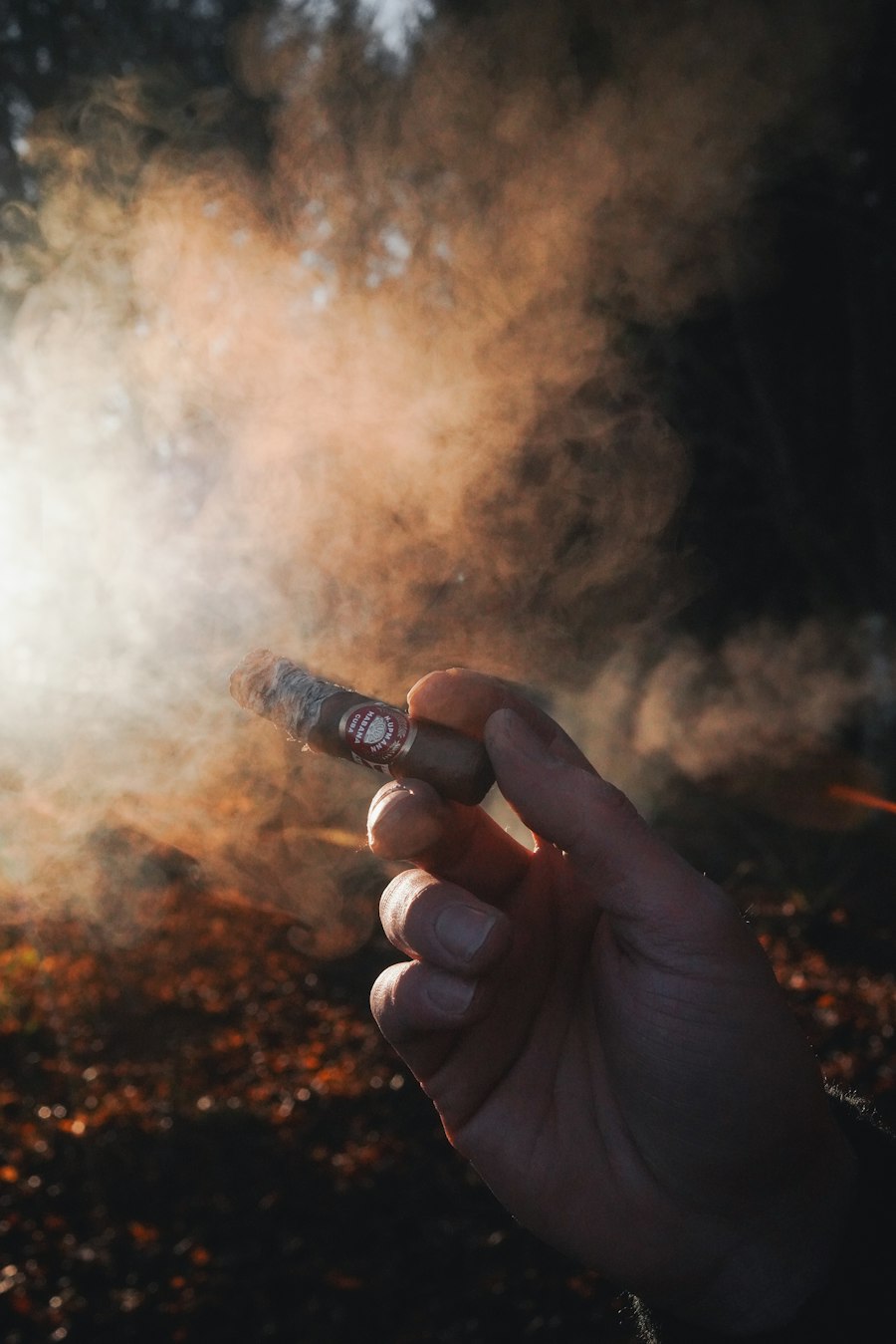 vape starter kit