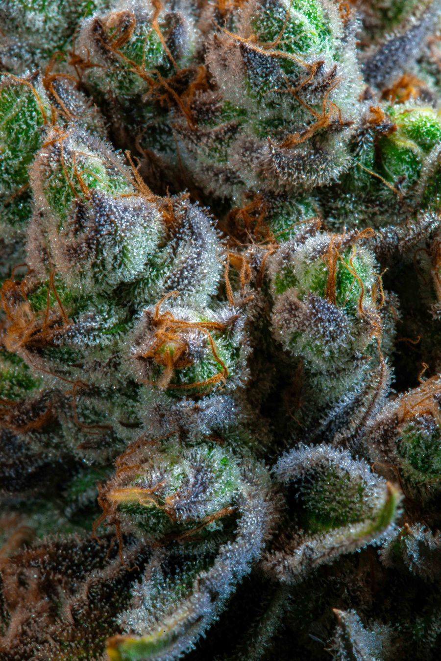 freebase e-liquid