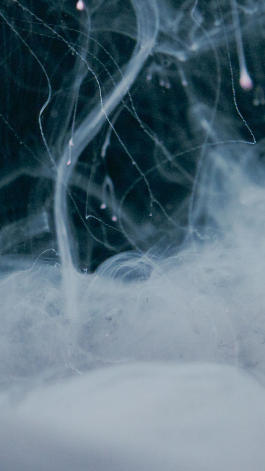 freebase e-liquid